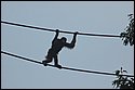 DSC_6844.jpg