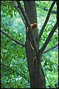 DSC_6859.jpg