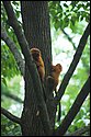 DSC_6860.jpg