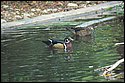 DSC_6885.jpg