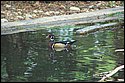 DSC_6887.jpg