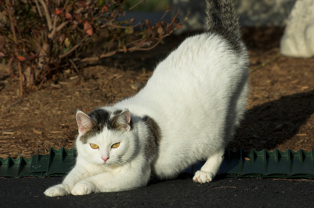 DSC_7621.png