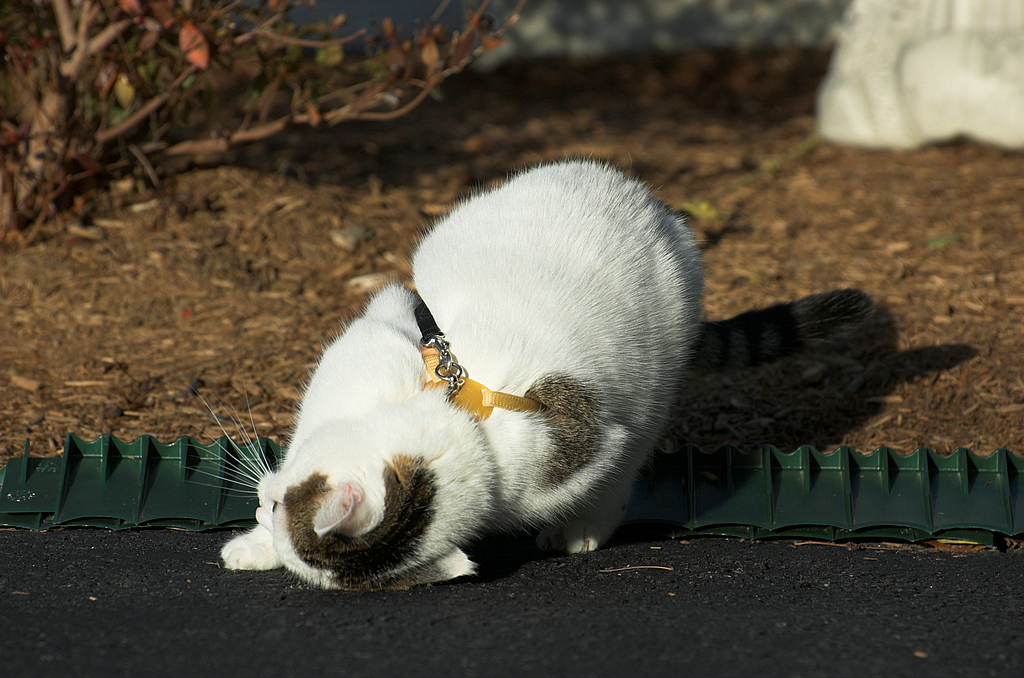DSC_7622.png