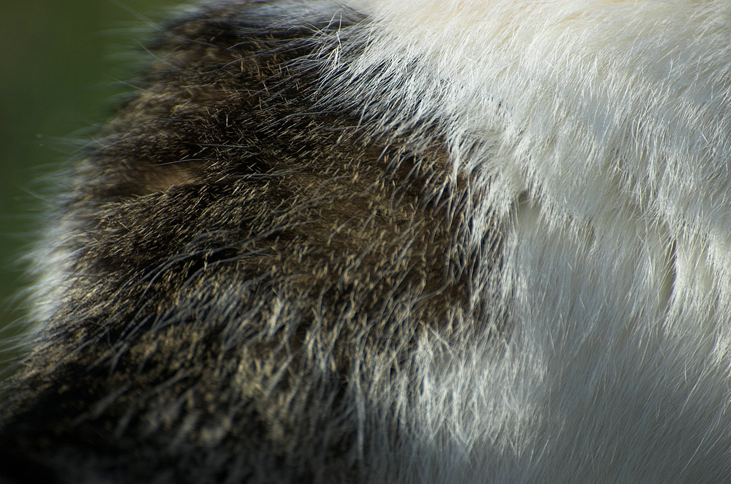 DSC_7635.png