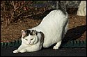 DSC_7621.png