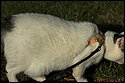 DSC_7631.png