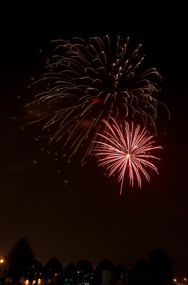DSC_9959.jpg
