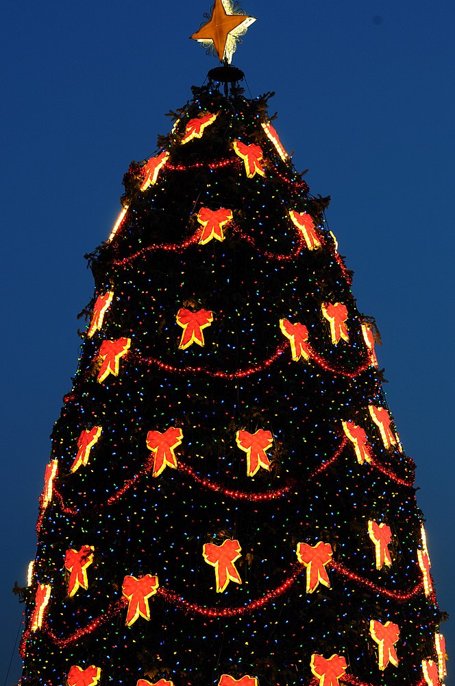 DSC_1003.jpg