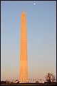 DSC_0965.jpg