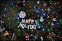 DSC_1079.jpg