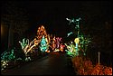 DSC_1452.jpg
