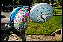DSC_4900.jpg