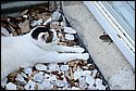 DSC_5984.jpg