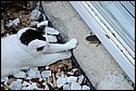 DSC_5986.jpg