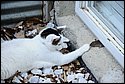DSC_6005.jpg
