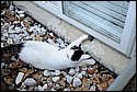 DSC_6010.jpg