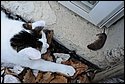 DSC_6016.jpg