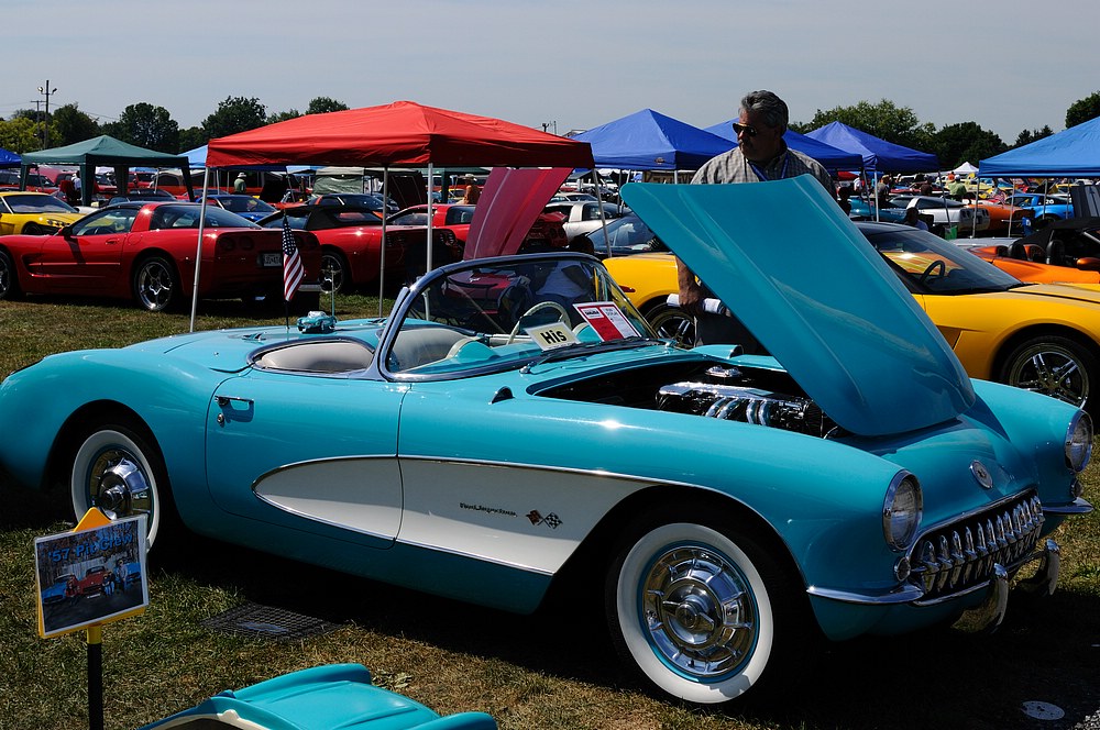 DSC_6980.jpg