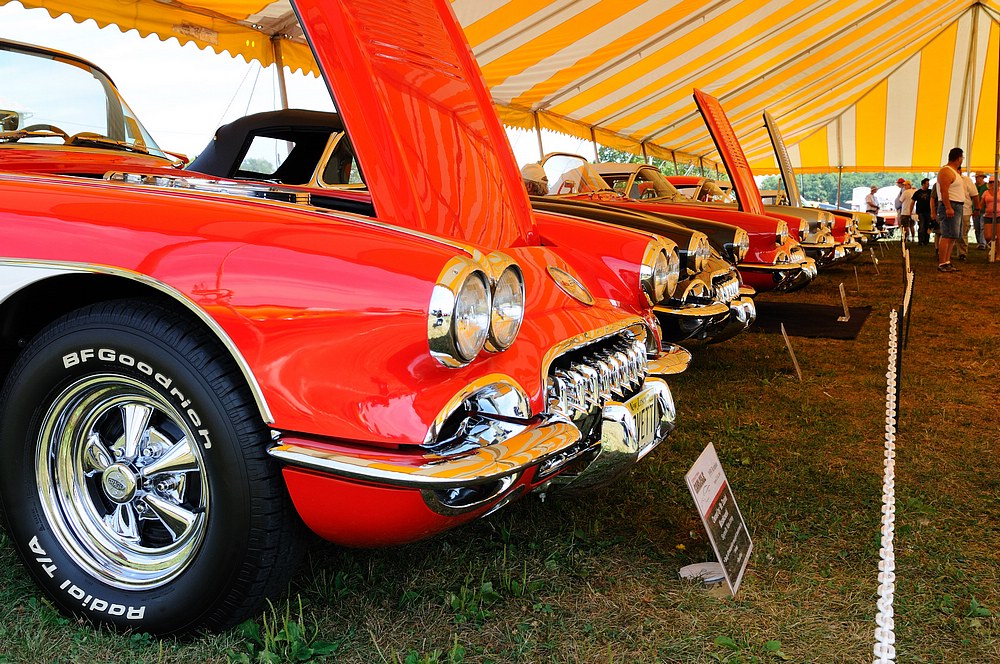 DSC_7056.jpg
