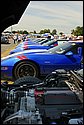 DSC_7001.jpg