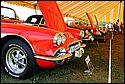 DSC_7056.jpg