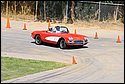 DSC_7127.jpg