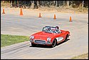 DSC_7130.jpg