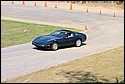 DSC_7194.jpg