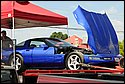 DSC_7217.jpg