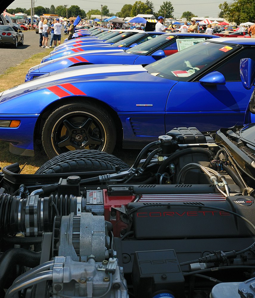 DSC_7001_cropped.jpg