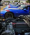 DSC_7001_cropped.jpg