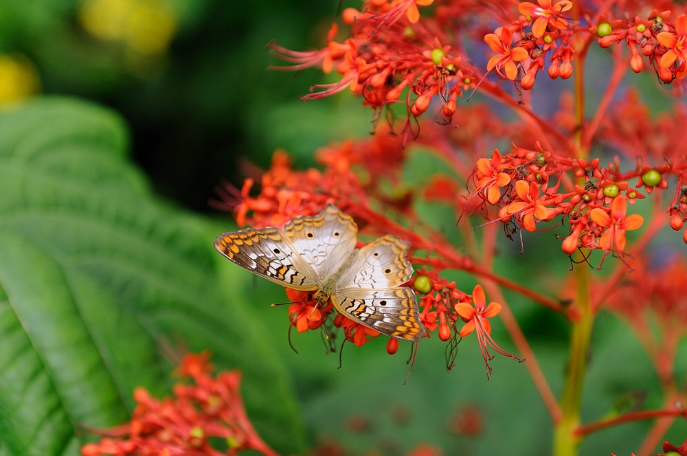 DSC_7328.jpg