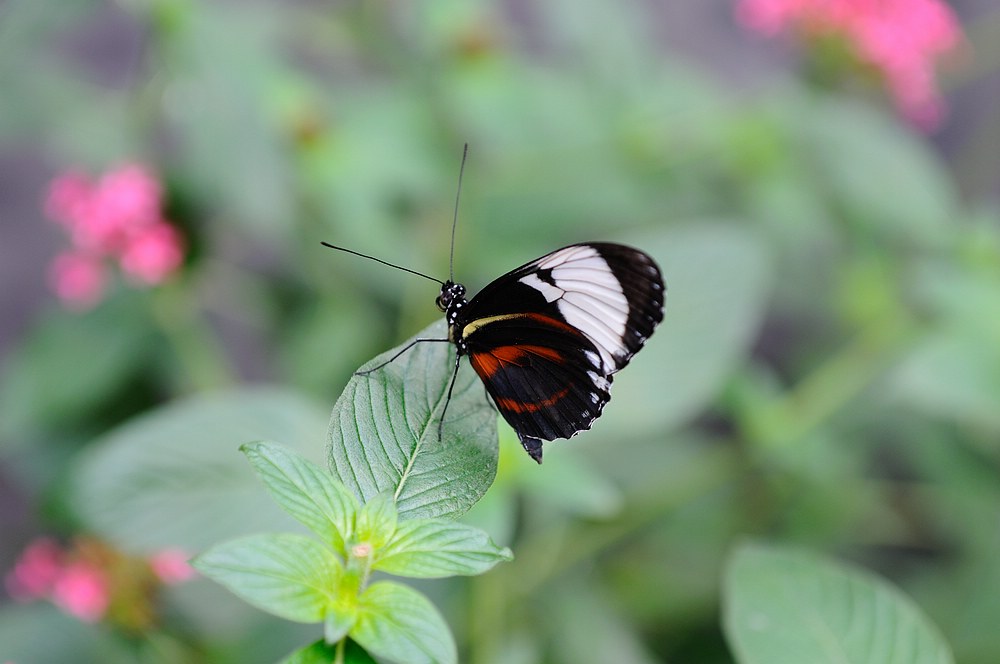 DSC_7344.jpg
