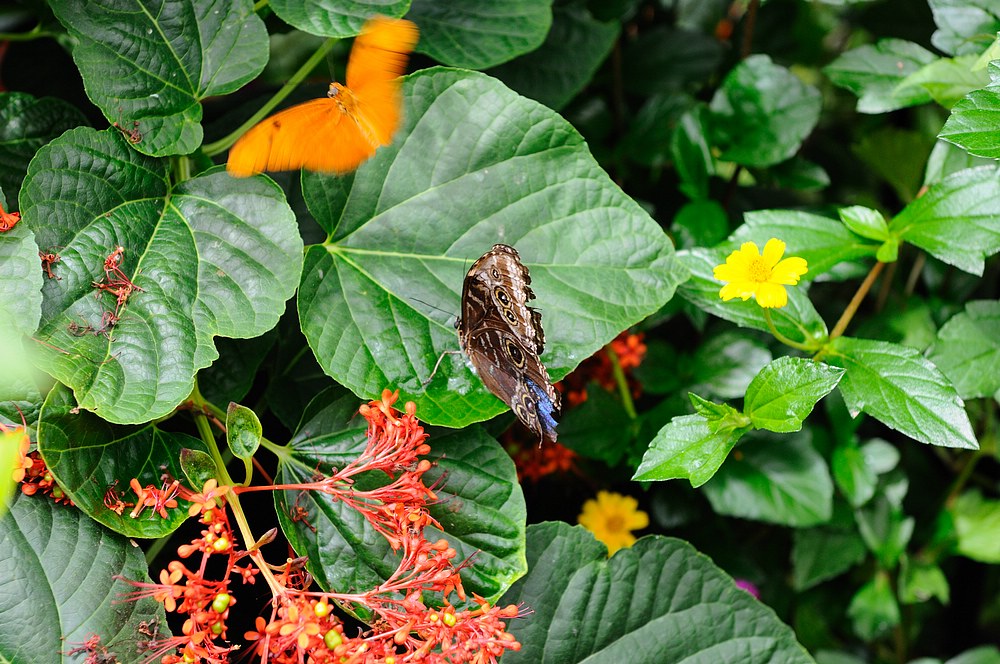 DSC_7360.jpg