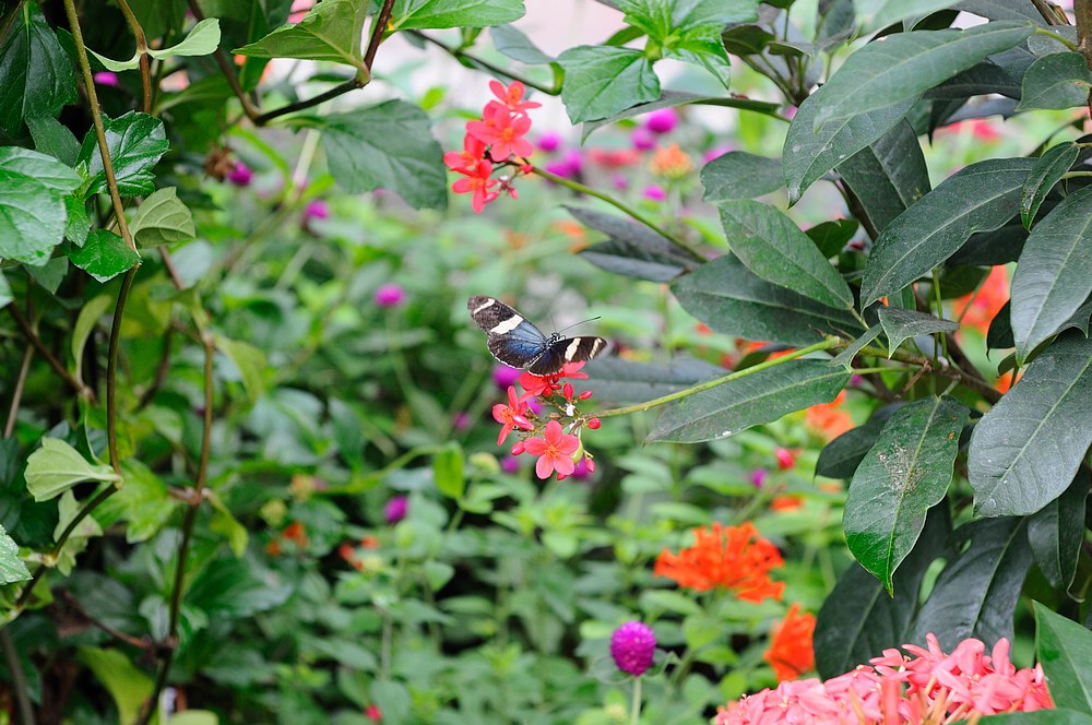DSC_7362.jpg