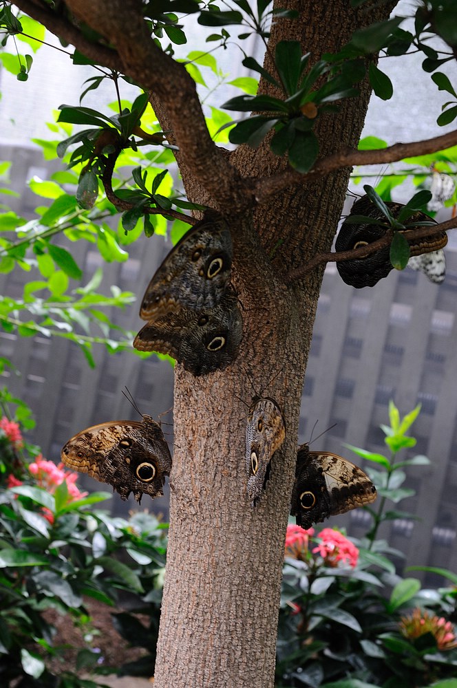 DSC_7375.jpg