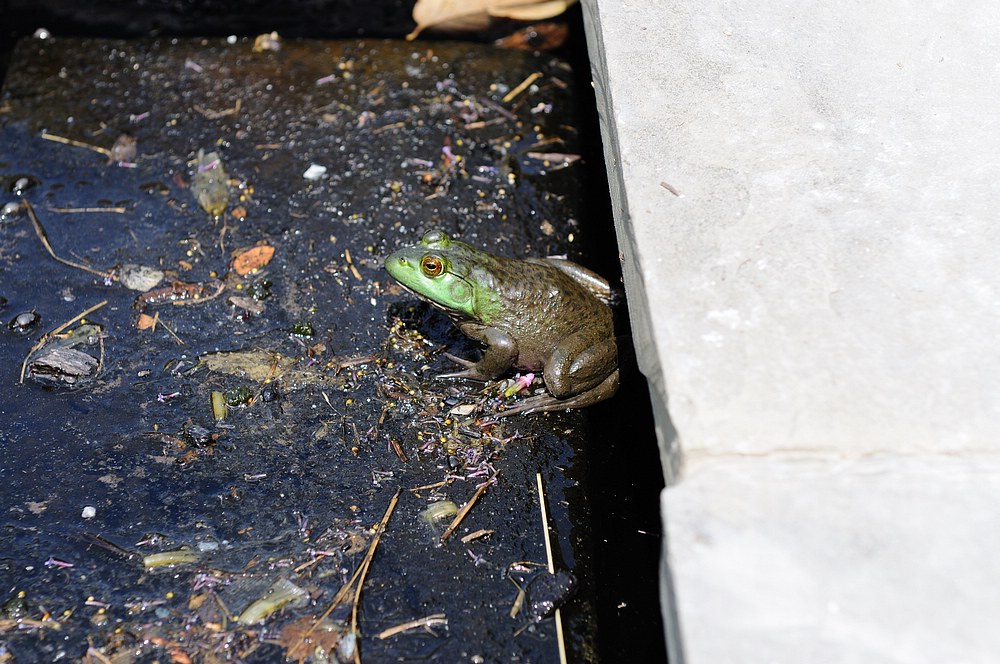 DSC_7476.jpg