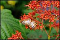 DSC_7328.jpg