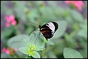 DSC_7344.jpg