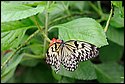 DSC_7347.jpg