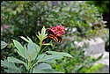 DSC_7350.jpg