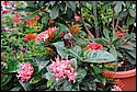 DSC_7352.jpg