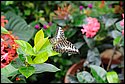 DSC_7354.jpg
