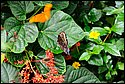 DSC_7360.jpg