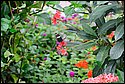 DSC_7361.jpg