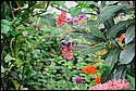 DSC_7362.jpg