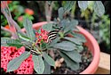 DSC_7365.jpg