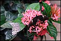 DSC_7370.jpg