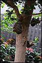 DSC_7375.jpg