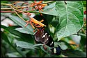 DSC_7389.jpg
